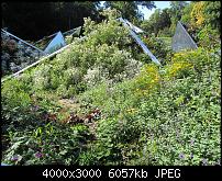 Nokia Lumia 1020 - Fotoqualität-bild-9-sx230.jpg