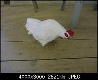 Nokia Lumia 1020 - Fotoqualität-bild-13-sx230.jpg