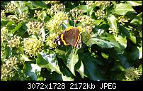 Nokia Lumia 1020 - Fotoqualität-wp_20131008_10_54_30_pro.jpg