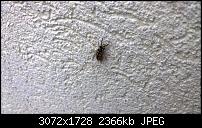 Schlechte Qualität-original.jpg