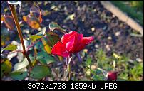 Nokia Lumia 1020 - Fotoqualität-wp_20131013_16_28_09_pro.jpg