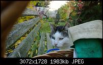 Nokia Lumia 1020 - Fotoqualität-wp_20131013_16_35_54_pro.jpg