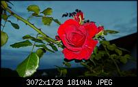 Nokia Lumia 1020 - Fotoqualität-wp_20131014_18_33_51_pro.jpg