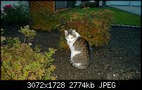 Nokia Lumia 1020 - Fotoqualität-wp_20131014_18_35_58_pro.jpg