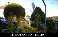 Nokia Lumia 1020 - Fotoqualität-wp_20131024_17_25_08_pro.jpg