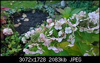 Nokia Lumia 1020 - Fotoqualität-wp_20131024_17_28_37_pro.jpg