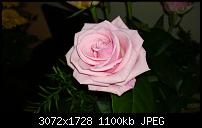 Nokia Lumia 1020 - Fotoqualität-wp_20131014_20_34_39_pro.jpg