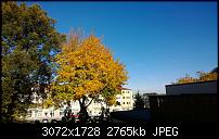 Nokia Lumia 1020 - Fotoqualität-wp_20131019_11_39_12_pro.jpg