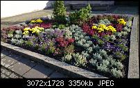 Nokia Lumia 1020 - Fotoqualität-wp_20131019_16_30_30_pro.jpg