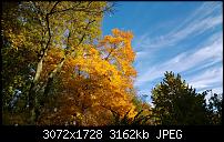 Nokia Lumia 1020 - Fotoqualität-wp_20131019_16_44_26_pro.jpg