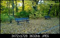 Nokia Lumia 1020 - Fotoqualität-wp_20131019_16_48_17_pro.jpg