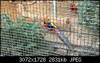 Nokia Lumia 1020 - Fotoqualität-wp_20131019_16_58_33_pro.jpg