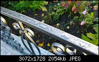 Nokia Lumia 1020 - Fotoqualität-wp_20131027_16_05_08_pro.jpg