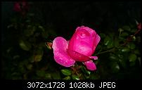 Nokia Lumia 1020 - Fotoqualität-wp_20131014_18_32_36_pro.jpg