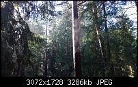 Nokia Lumia 1020 - Fotoqualität-wp_20131013_11_42_04_pro.jpg