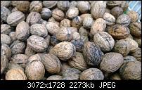 Nokia Lumia 1020 - Fotoqualität-wp_20131103_12_05_10_pro.jpg