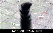 1020: Nach Bildzuschnitt mit Nokia Camera schwarze Ränder-wp_20131103_12_04_39_pro.jpg