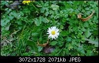 Nokia Lumia 1020 - Fotoqualität-wp_20131104_13_51_21_pro.jpg