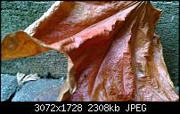 Nokia Lumia 1020 - Fotoqualität-wp_20131104_13_55_16_pro.jpg