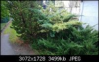 Nokia Lumia 1020 - Fotoqualität-wp_20131111_09_22_44_pro.jpg