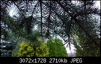 Nokia Lumia 1020 - Fotoqualität-wp_20131111_09_22_58_pro.jpg