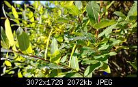 Nokia Lumia 1020 - Fotoqualität-wp_20131112_10_25_06_pro.jpg