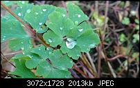 Nokia Lumia 1020 - Fotoqualität-wp_20131112_12_51_35_pro.jpg