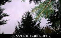 Nokia Lumia 1020 - Fotoqualität-wp_20131113_10_59_08_pro.jpg