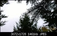 Nokia Lumia 1020 - Fotoqualität-wp_20131113_10_59_17_pro.jpg