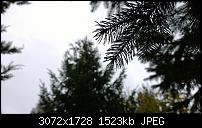 Nokia Lumia 1020 - Fotoqualität-wp_20131113_10_59_26_pro.jpg