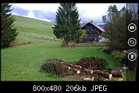 Nokia Lumia 1020 - Fotoqualität-rinder1.jpg