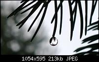 Nokia Lumia 1020 - Fotoqualität-wp_20131113_10_59_17_pro.jpg