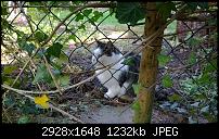 Nokia Lumia 1020 - Fotoqualität-wp_20131114_13_03_02_refocus.jpg