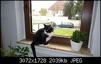 Nokia Lumia 1020 - Fotoqualität-wp_20131116_11_12_14_pro.jpg