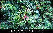 Nokia Lumia 1020 - Fotoqualität-wp_20131121_10_37_19_pro.jpg