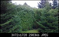 Nokia Lumia 1020 - Fotoqualität-wp_20131121_10_38_05_pro.jpg