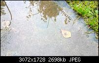 Nokia Lumia 1020 - Fotoqualität-wp_20131121_10_39_32_pro.jpg