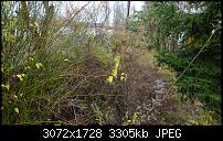 Nokia Lumia 1020 - Fotoqualität-wp_20131121_10_42_48_pro.jpg