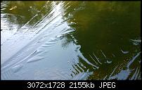 Nokia Lumia 1020 - Fotoqualität-wp_20131125_11_50_13_pro.jpg