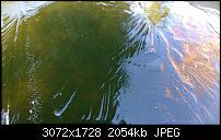 Nokia Lumia 1020 - Fotoqualität-wp_20131125_11_50_35_pro.jpg