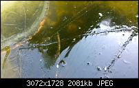 Nokia Lumia 1020 - Fotoqualität-wp_20131125_11_50_45_pro.jpg