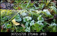 Nokia Lumia 1020 - Fotoqualität-wp_20131125_11_53_36_pro.jpg