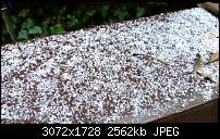 Nokia Lumia 1020 - Fotoqualität-wp_20131126_11_48_29_pro.jpg