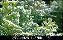 Nokia Lumia 1020 - Fotoqualität-wp_20131126_11_08_26_pro.jpg