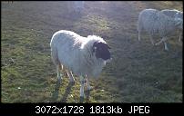 Nokia Lumia 1020 - Fotoqualität-wp_20140112_13_27_10_pro_635251385854274740.jpg