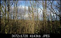 Nokia Lumia 1020 - Fotoqualität-wp_20140108_11_35_58_pro.jpg