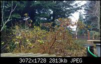 Nokia Lumia 1020 - Fotoqualität-wp_20140115_14_44_00_raw.jpg