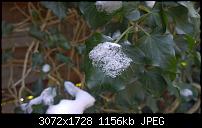 Nokia Lumia 1020 - Fotoqualität-wp_20140125_13_33_15_raw.jpg