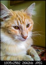 Nokia Lumia 1020 - Fotoqualität-lightroom-lumia-1020-wp_20140209_14_54_37_raw__highres.jpg