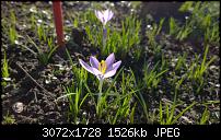 Nokia Lumia 1020 - Fotoqualität-wp_20140213_12_10_46_raw.jpg